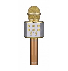 FunAudio G-800 Gold беспроводной микрофон, цвет золото