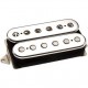 DiMarzio DP224CC Andy Timmons model AT-1 звукосниматель, хамбакер, хромированные плашки сверху