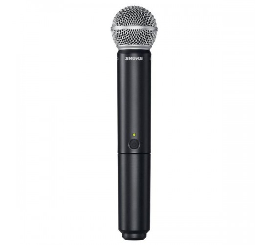 Shure BLX288E/PG58 M17 двухканальная радиосистема с микрофонами - 2 шт.