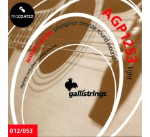 Galli AGP1253 Комплект струн для акустической гитары