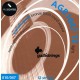Galli AGB1047-12 Комплект струн для 12-струнной акустической гитары, натяжение LIGHT, 10-47