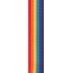 Planet Waves PWS111 Polypropylene Полипропиленовый ремень для гитары, радуга