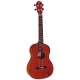 Ortega RU5MM-BA RU Series Mahogany Укулеле баритон, матовый