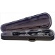 Stagg VN-4/4-TBK скрипка 4/4, цвет черный с футляром