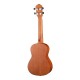 Ortega RU5MM RU Series Mahogany Укулеле концертный, матовый