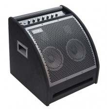 Soundking DS200 Монитор для электронной ударной установки, 200Вт