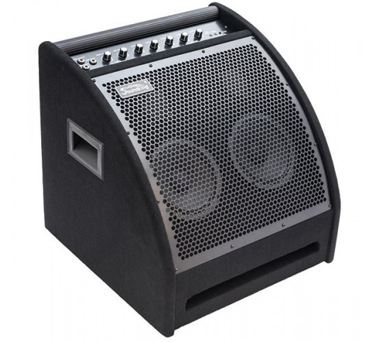 Soundking DS200 Монитор для электронной ударной установки, 200Вт