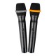 LAudio LS-Q5-2M Двухканальная вокальная радиосистема, 2 ручных передатчика