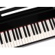 Nux NPK-10-BK Цифровое пианино, черное