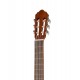 Cort AC100 SG Классическая гитара 4/4, глянцевая