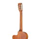 Cort JADE E Nylon BRB классическая гитара со звукоснимателем, цвет Burgundy Red Burst
