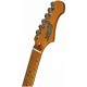 JET JT-300 SB электрогитара, Telecaster, SS, цвет sunburst