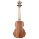 Cascha HH-2035E Mahogany Series Укулеле концертный со звукоснимателем, с чехлом, цвет натуральный