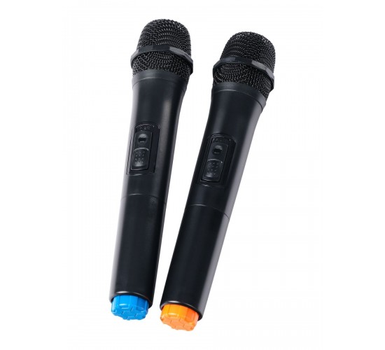 Leem PR-12HR Портативная акустическая система с 2 микрофонами, аккумуляторная, 120Вт
