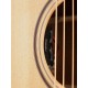 Parkwood S26-GT электроакустическая гитара, дредноут с вырезом, с чехлом, глянец