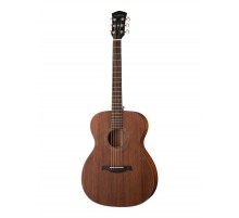 Parkwood S22M-NS акустическая гитара, с чехлом, матовая