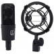 Audio-Technica AT4040 Кардиоидный конденсаторный микрофон с подвесом