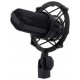 Audio-Technica AT4040 Кардиоидный конденсаторный микрофон с подвесом