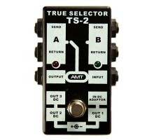 AMT TS-2 TRUE SELECTOR Пассивный двухканальный коммутатор (селектор), AMT Electronics