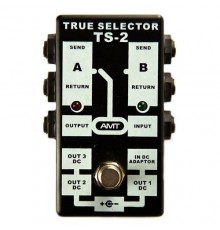 AMT TS-2 TRUE SELECTOR Пассивный двухканальный коммутатор (селектор), AMT Electronics
