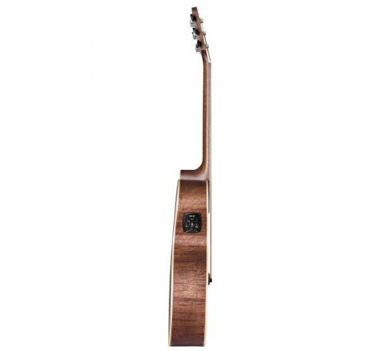 Baton Rouge AR61S/ACE электроакустическая гитара